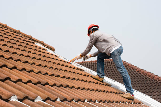 Best Skylight Installation and Repair  in Sharpsburg, NC